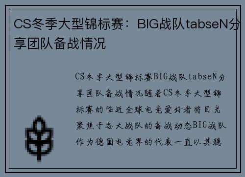 CS冬季大型锦标赛：BIG战队tabseN分享团队备战情况