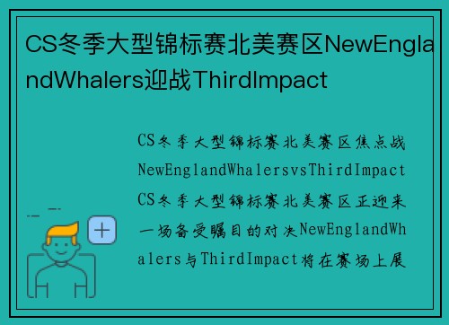 CS冬季大型锦标赛北美赛区NewEnglandWhalers迎战ThirdImpact