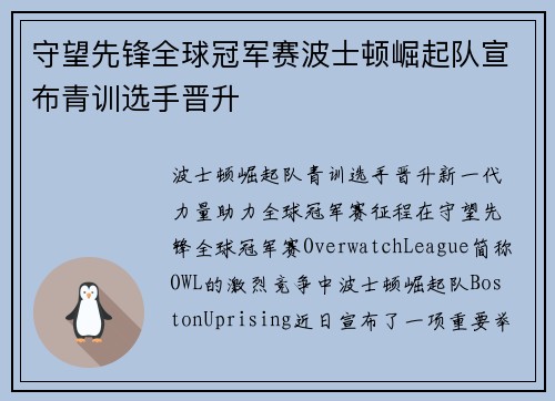守望先锋全球冠军赛波士顿崛起队宣布青训选手晋升